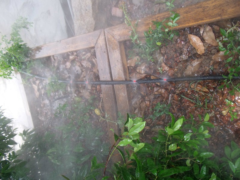 SUCOHANS 1000 قطعة 360 درجة مروحة بخاخ صغيرة جيت المائية Aeroponic Misters Cloners - 360 بخاخ أحمر (1000) - Image 4